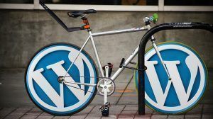 wordpress-973439_640 (2)