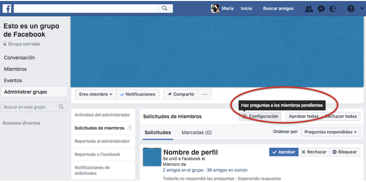 cuestionario grupos facebook