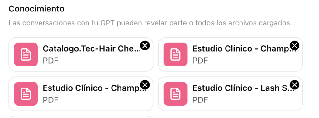 cargar documentos a ChatGPT